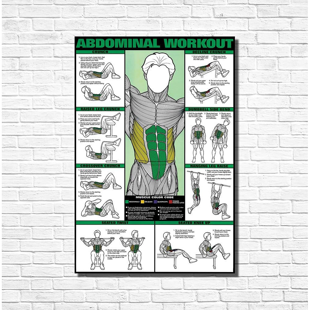 Namaste Home Laminated Paper Poster - Motivational Gym Poster - Abdominal Workout & Exercise Poster (Laminated Paper, Large Size 36X24 Inches, Multicolour)