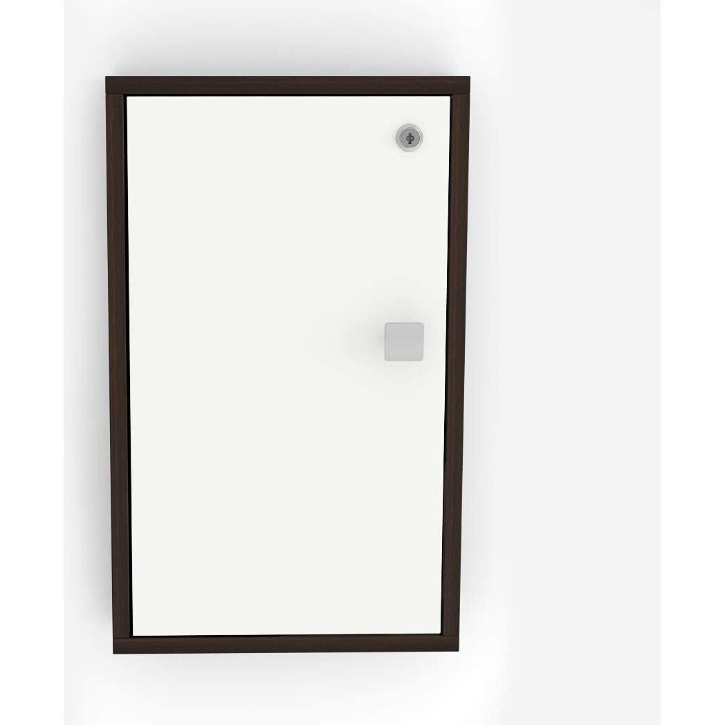 Bluewud Torene Engineered Wood Wall Mount Key Box Cabinet, Key Holder With Locker Upto 40 Keys For Living Room Home Furniture (Wenge & White)