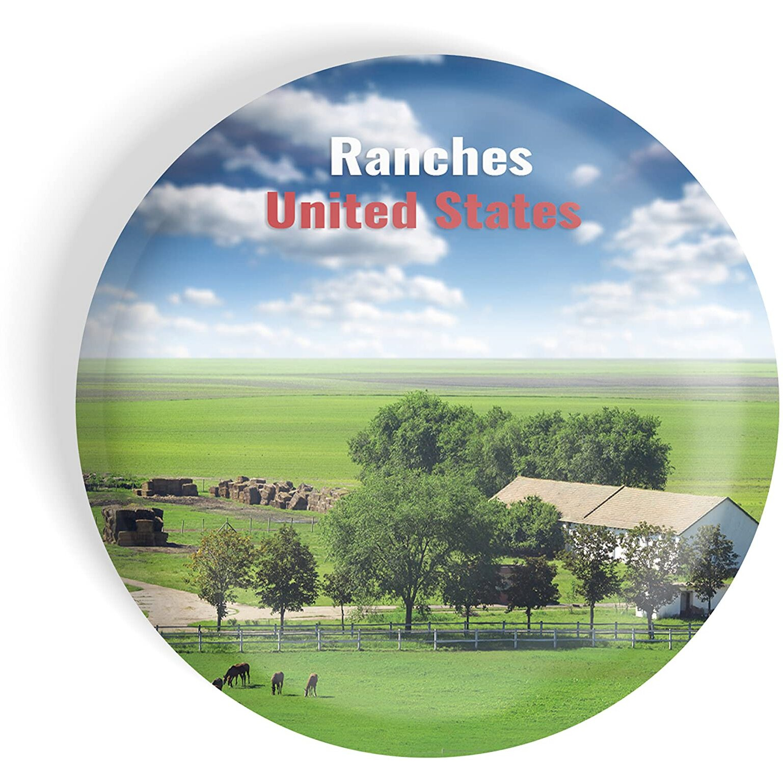 Dhcrafts Fridge Magnet Multicolor Famous Tourist Place Ranch United States Glossy Finish Design Pack Of 1