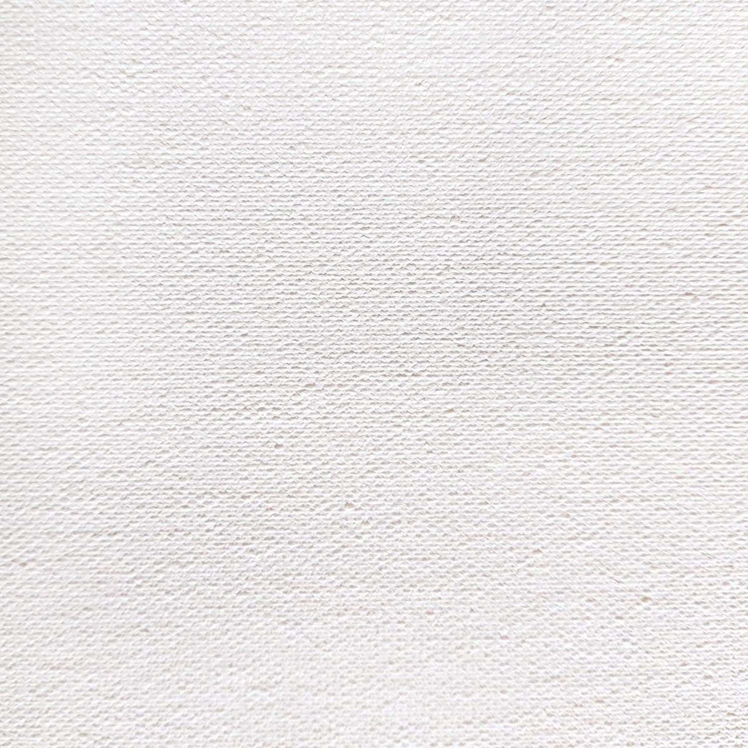 Bansuri Aristocratic Cotton Canvas Board Set, Professional Primed White Blank- Artist Canvas Boards For Painting, Acrylic Paint, Oil Paint Dry(Total 8 Pcs 2X5X7,8X10, 9X12,10X14)