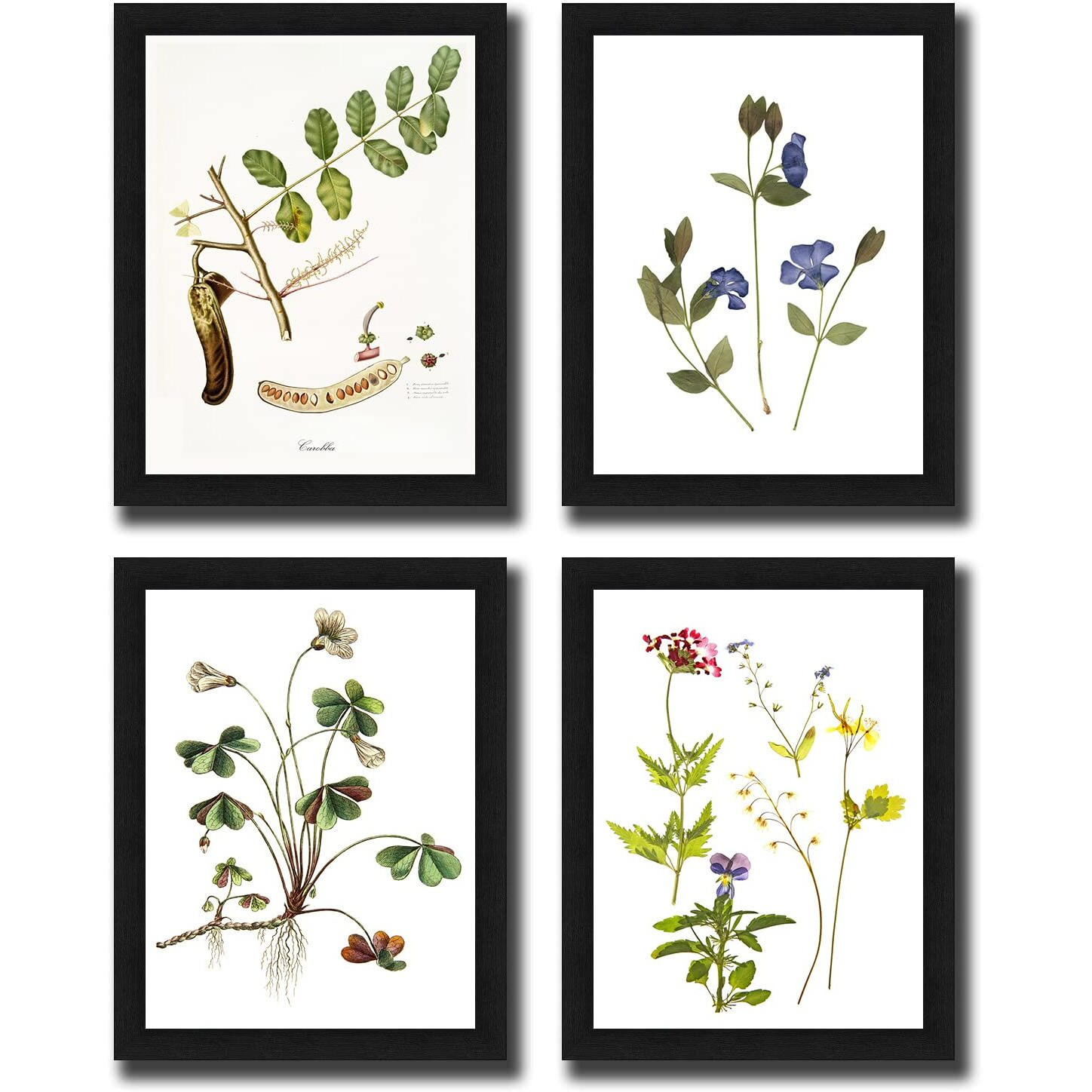 Interio Crafts Set Of 4 Botanical Leaf Art Framed Posters, Wall Hanging Floral Arts For Living Room (Frame Size 13X10 Inches