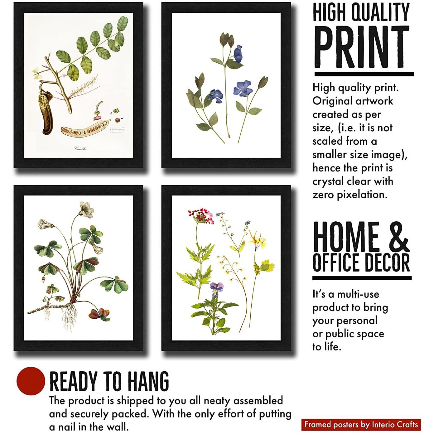 Interio Crafts Set Of 4 Botanical Leaf Art Framed Posters, Wall Hanging Floral Arts For Living Room (Frame Size 13X10 Inches