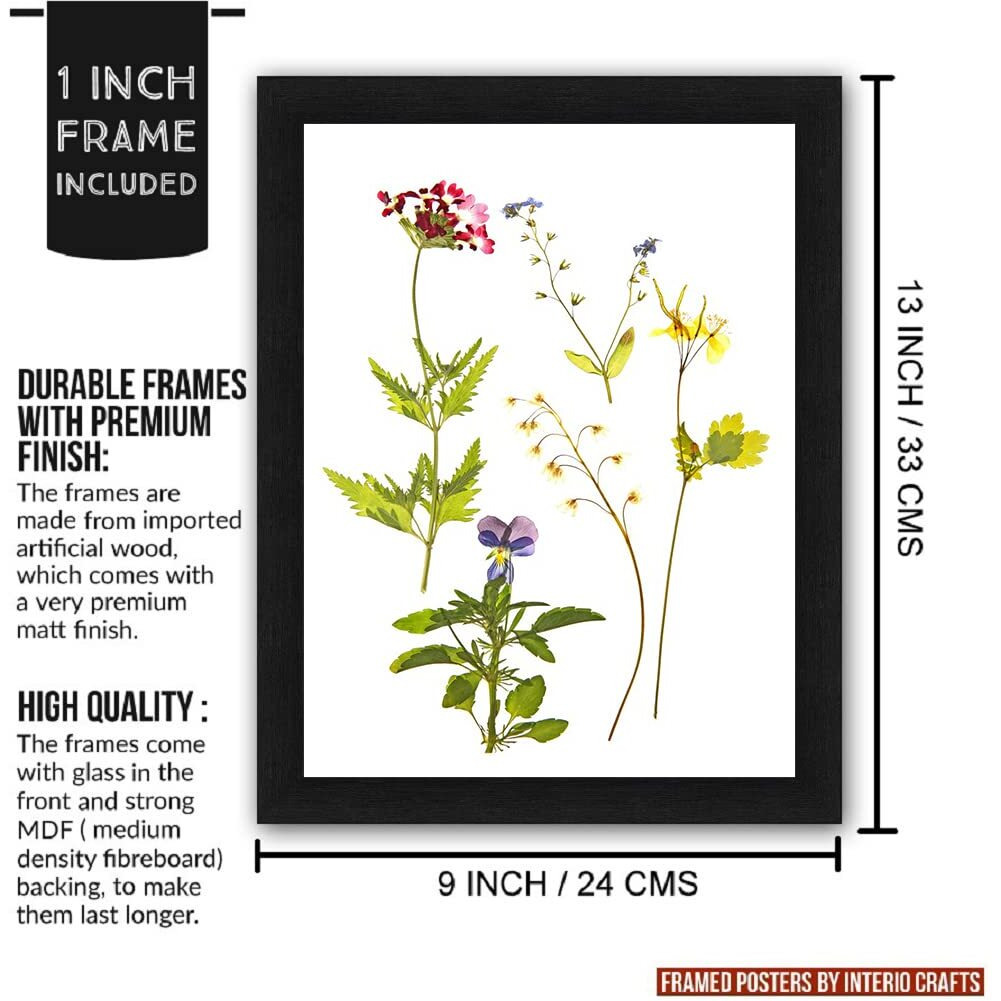 Interio Crafts Set Of 4 Botanical Leaf Art Framed Posters, Wall Hanging Floral Arts For Living Room (Frame Size 13X10 Inches