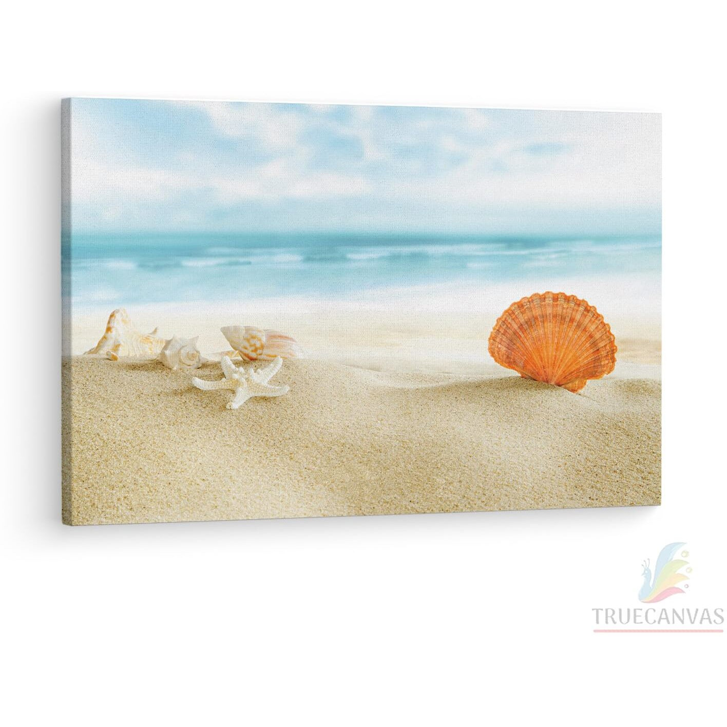 Truecanvas Beach Beautiful Shell, Wooden Framed Canvas Paintings For Living Room | Bedroom | Office | Gallery | Ready Wall Mount Canvas Wall Art Painting | Size - 12 X 18In, Ct0710