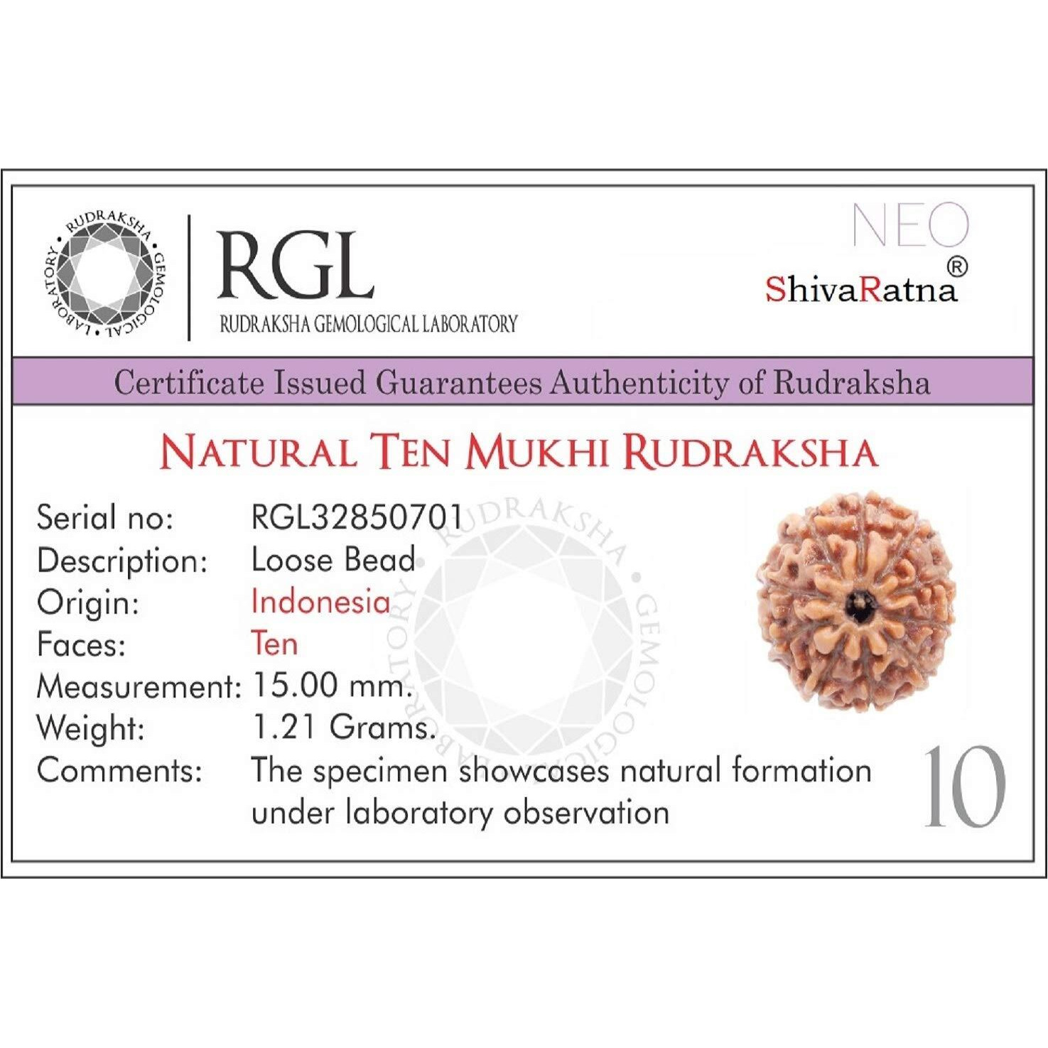Shivaratna 10 Mukhi Rudraksha Made In Silver Metal Lab Certified (Origin - Java) Hand Picked Matured Rudraksha Bead