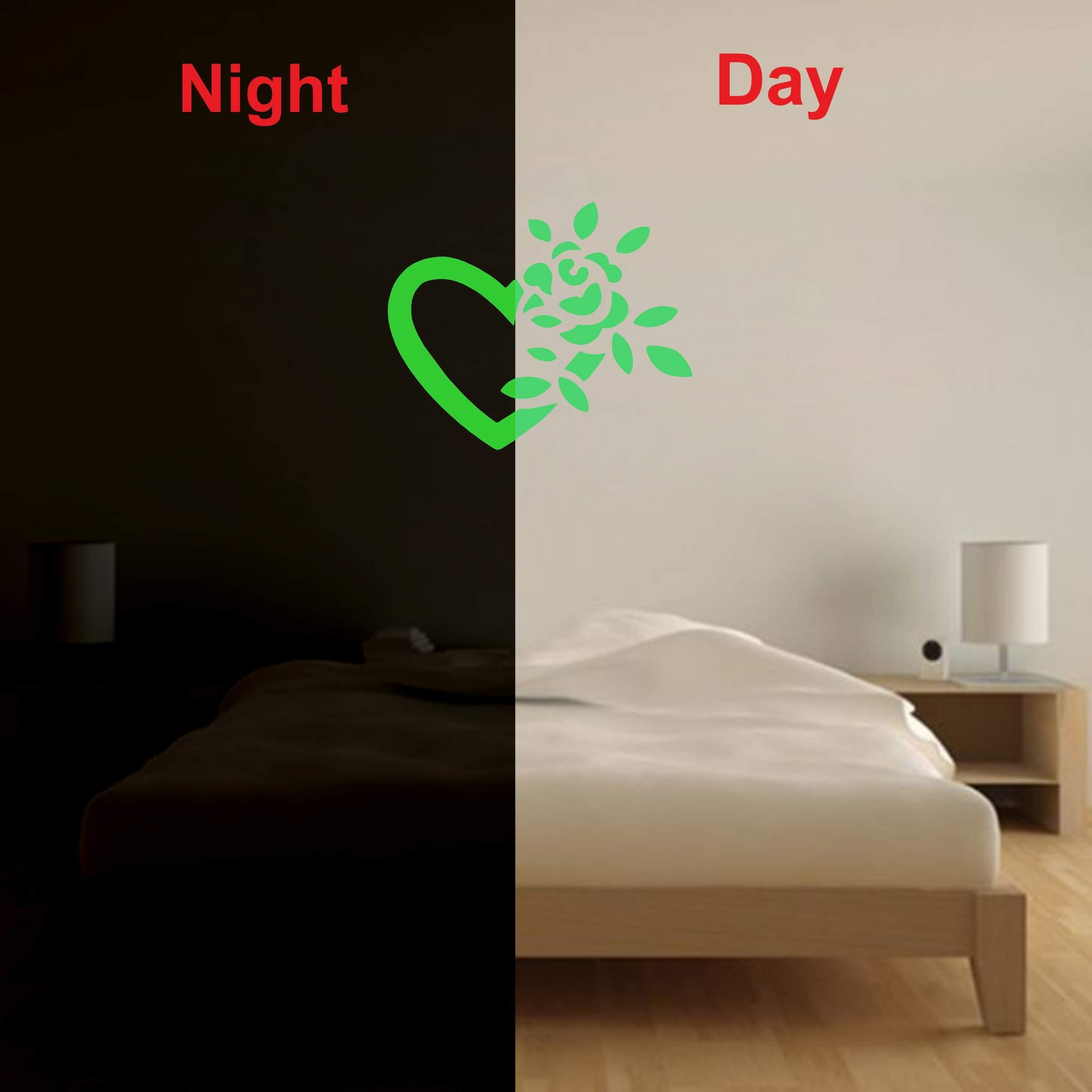 Dreamkraft Love & Heart Glow In The Dark Decorative Radium Sticker For Wall Decor (Green, 31X25Cm)