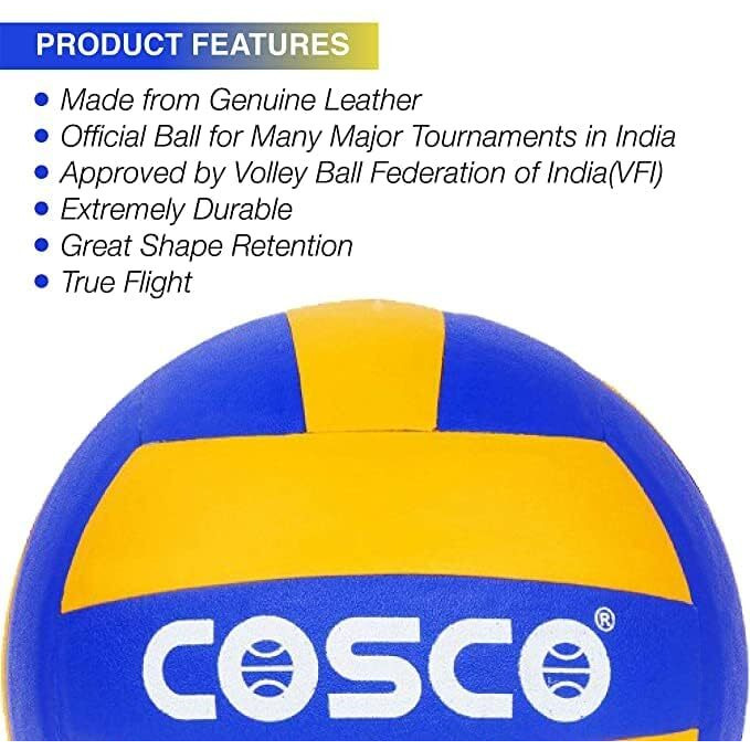 Cosco Leather Pasted Volleyball (Size 4), Multicolor