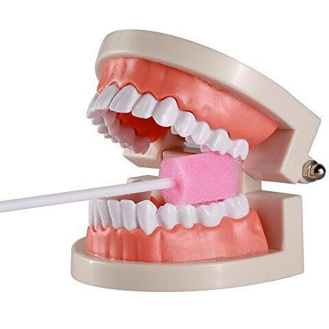 Mj Talk Tools 100Pcs Disposable Oral Care Swabs Tooth Cleaning Mouth Swabs Toothette Oral Swabs (Pink)
