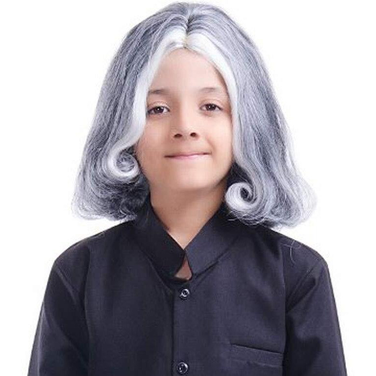 Fancydresswale Boy's And Girl's Apj Abdul Kalam Fancy Dress (Wig Only) 3 Yrs To Adult