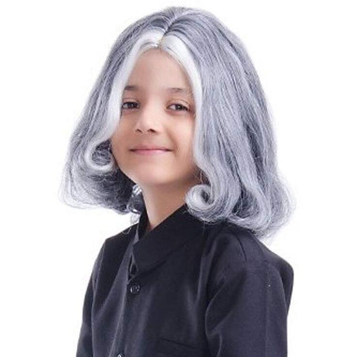 Fancydresswale Boy's And Girl's Apj Abdul Kalam Fancy Dress (Wig Only) 3 Yrs To Adult
