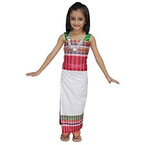 Kaku Fancy Dresses Polyester Blend Indian State Dance Costume Multicolor, 3-4 Years For Girls