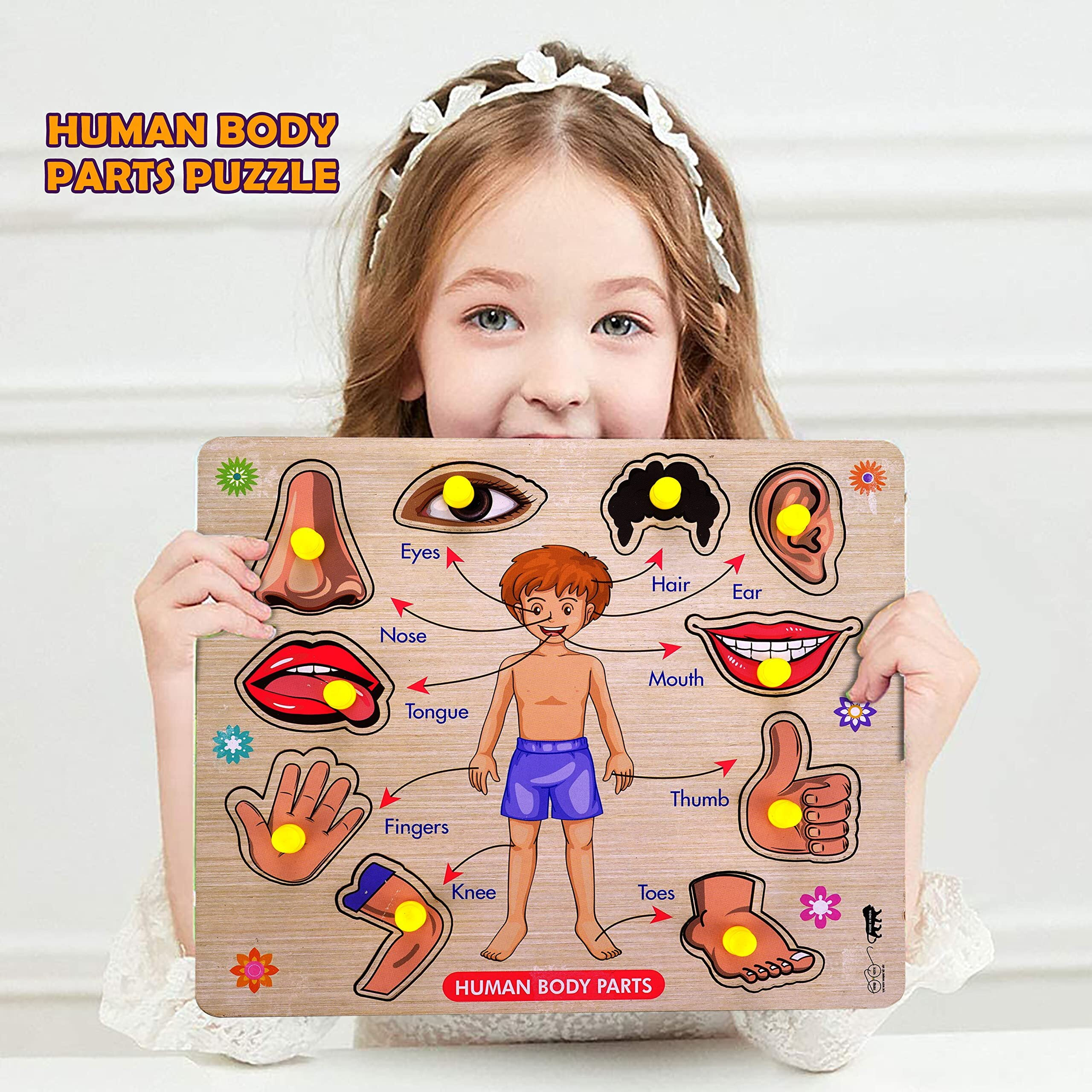Highroof Kids Fort Pre Nursery Educational Jigsaw Puzzles For Adults Kids Learning Toys Kit Board Game 2 Pcs Set Of Human Body Parts & Vegetables Educational Toy