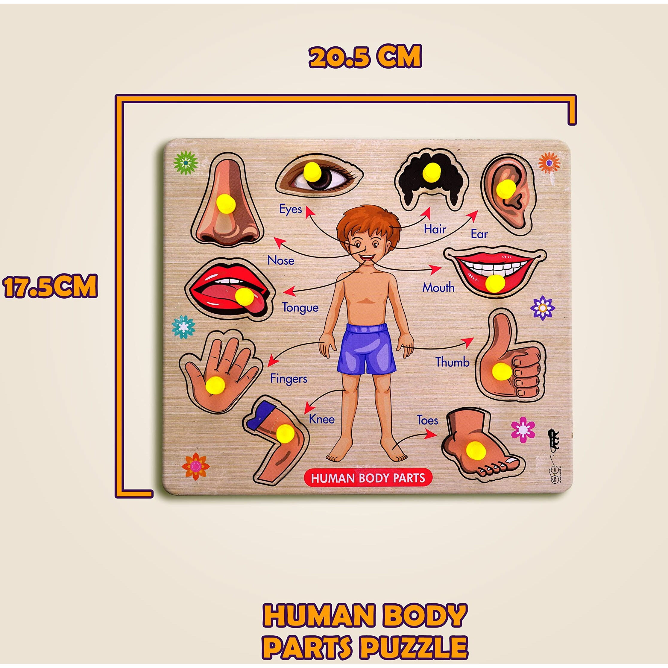 Highroof Kids Fort Pre Nursery Educational Jigsaw Puzzles For Adults Kids Learning Toys Kit Board Game 2 Pcs Set Of Human Body Parts & Vegetables Educational Toy