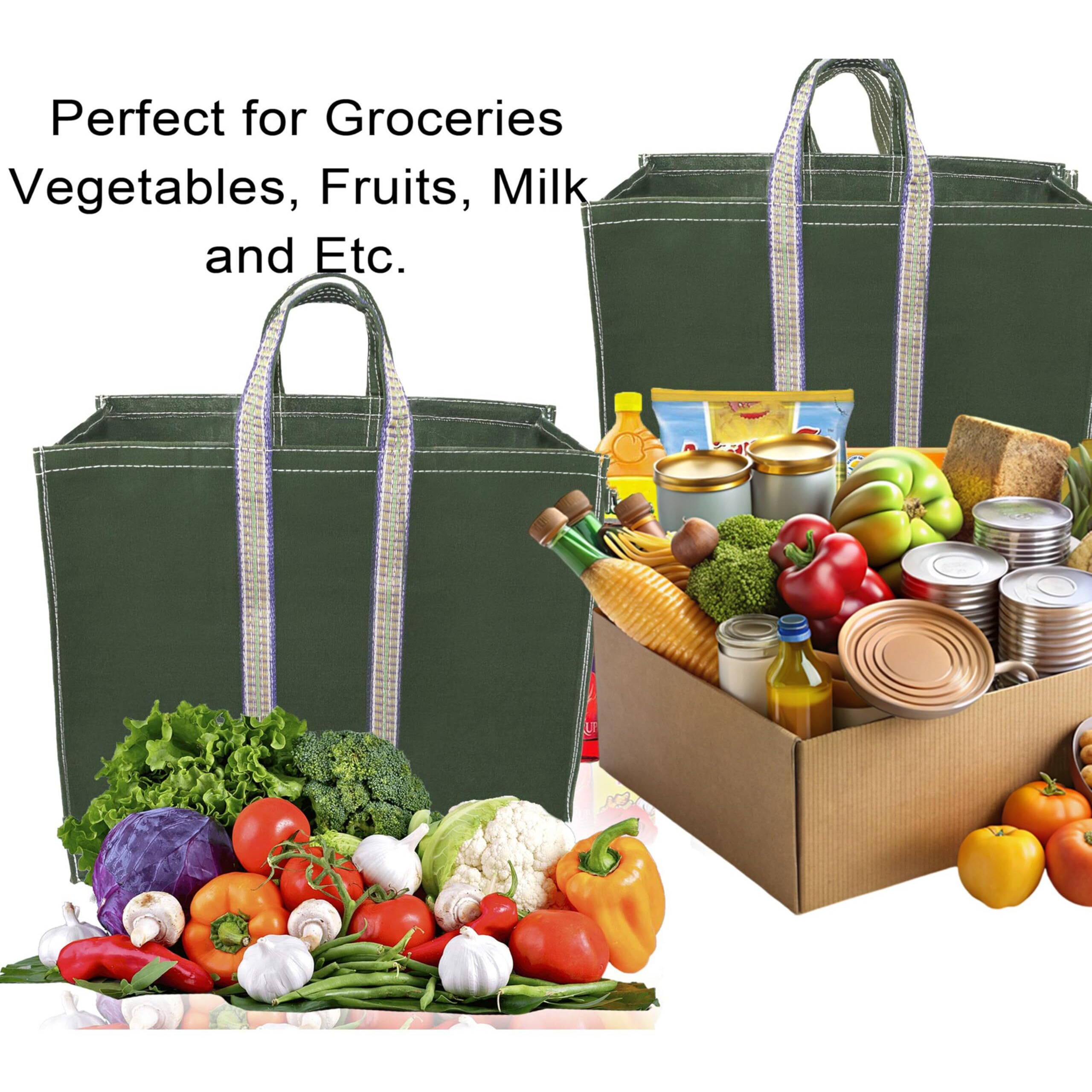 Storite Pack Of 2 Grocery Canvas Bag Super Strong Heavy Duty Milk Bag/Shopping Bags For Vegetable Grocery Bags With Reinforced Handles & Thick Bottom For Strength (Green,40X20X33-Cm)