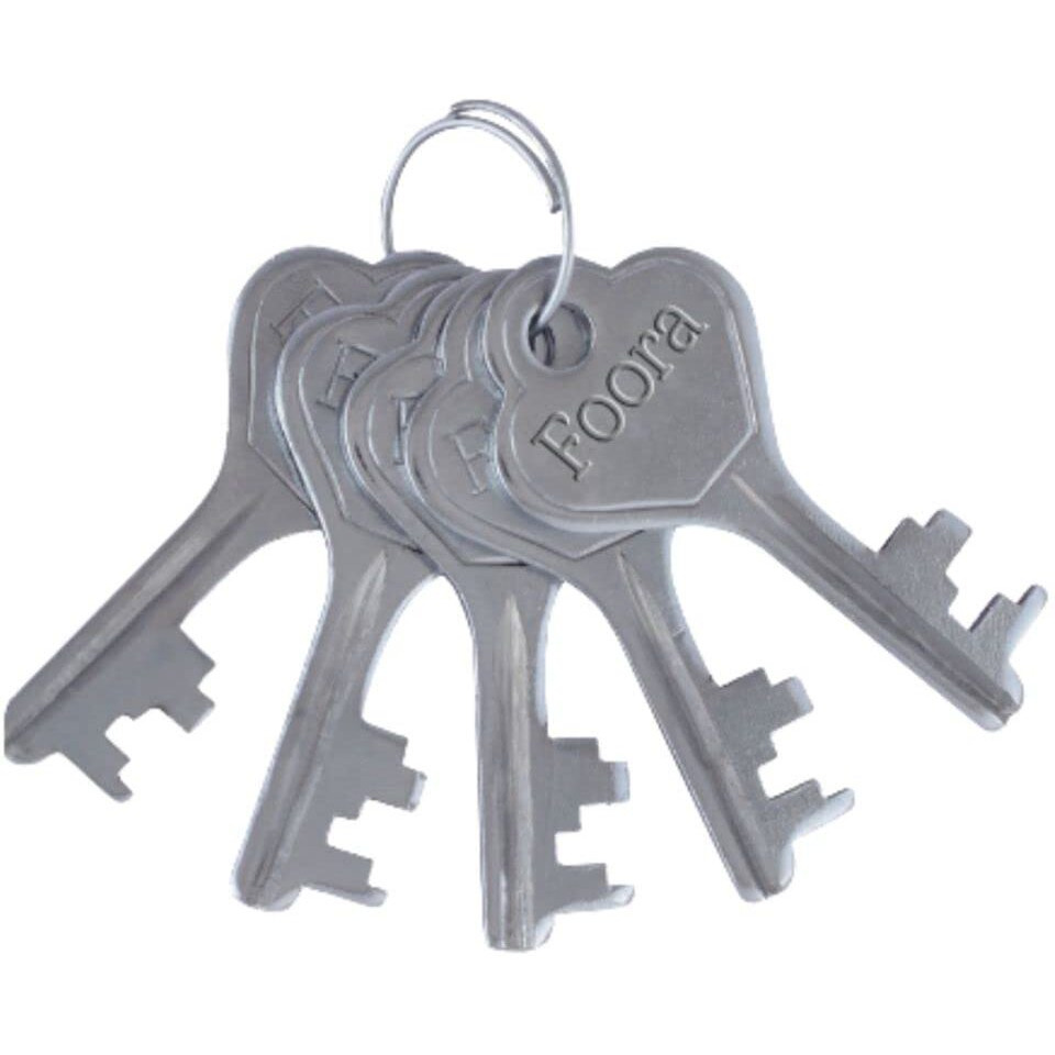 Foora Same Key Lock Set - 4 Padlocks With 5 Common Key, Multiple Lock With Single Key For Home Security