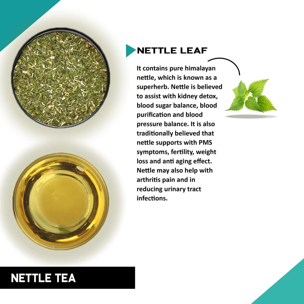 Teacurry Nettle Leaf Tea - 50 Grams + Infuser | Helps Kidney Detox, Blood Sugar, And Blood Purify | Nettle Tea | Nettle Leaf Tea