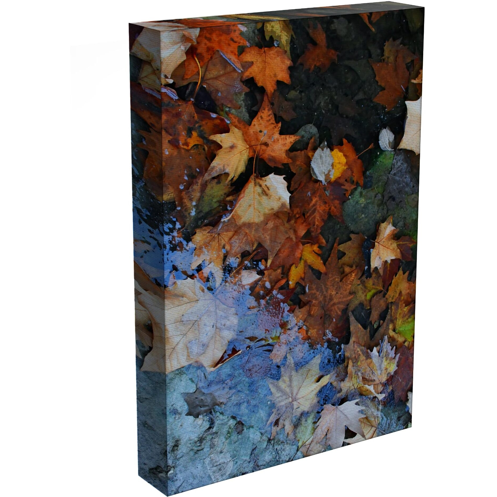 Inephos Framed Canvas Painting Colours Of Autumn Nature Art Wall Painting For Living Room, Bedroom, Office, Hotels, Drawing Room (Multi Color, 85Cm X 55Cm)