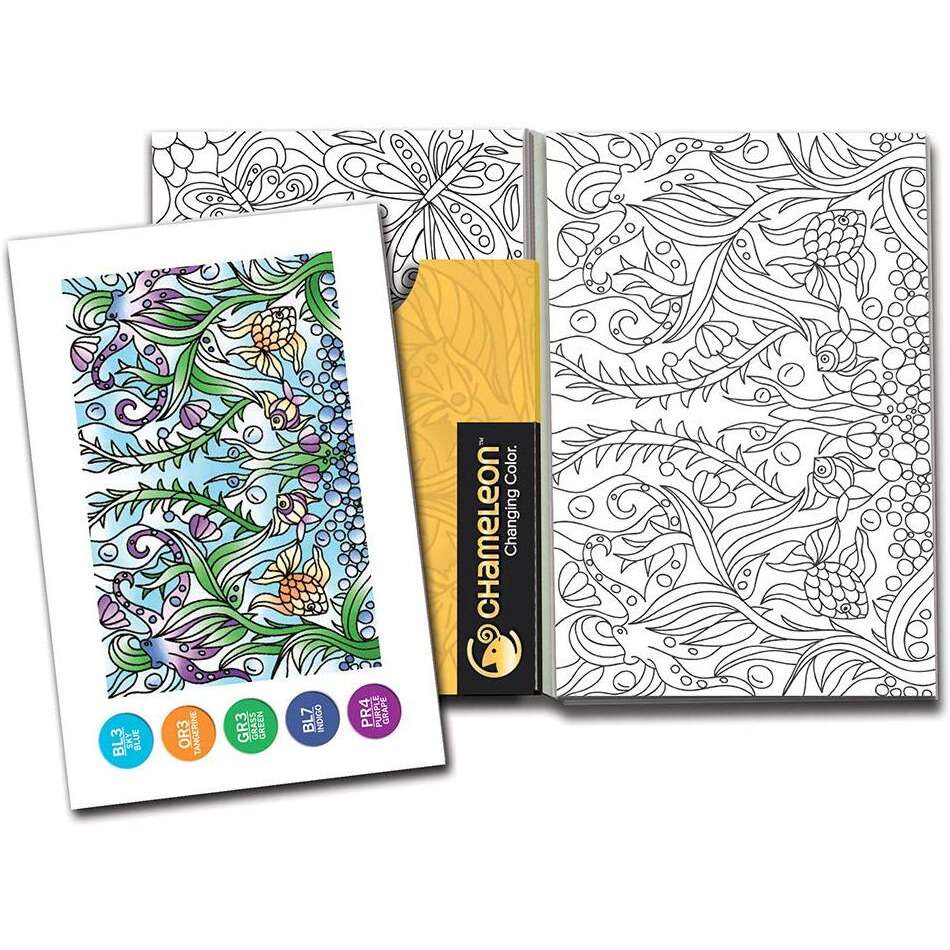 Chameleon Color Cards In Mirror Images
