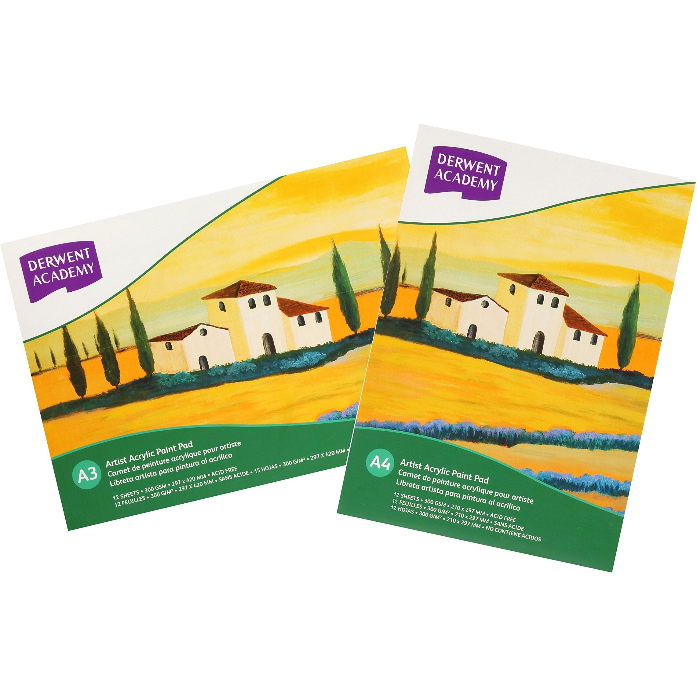 Derwent Academy Acrylic Pad 12 Sheets, 300 Gsm (A3 Landscape)