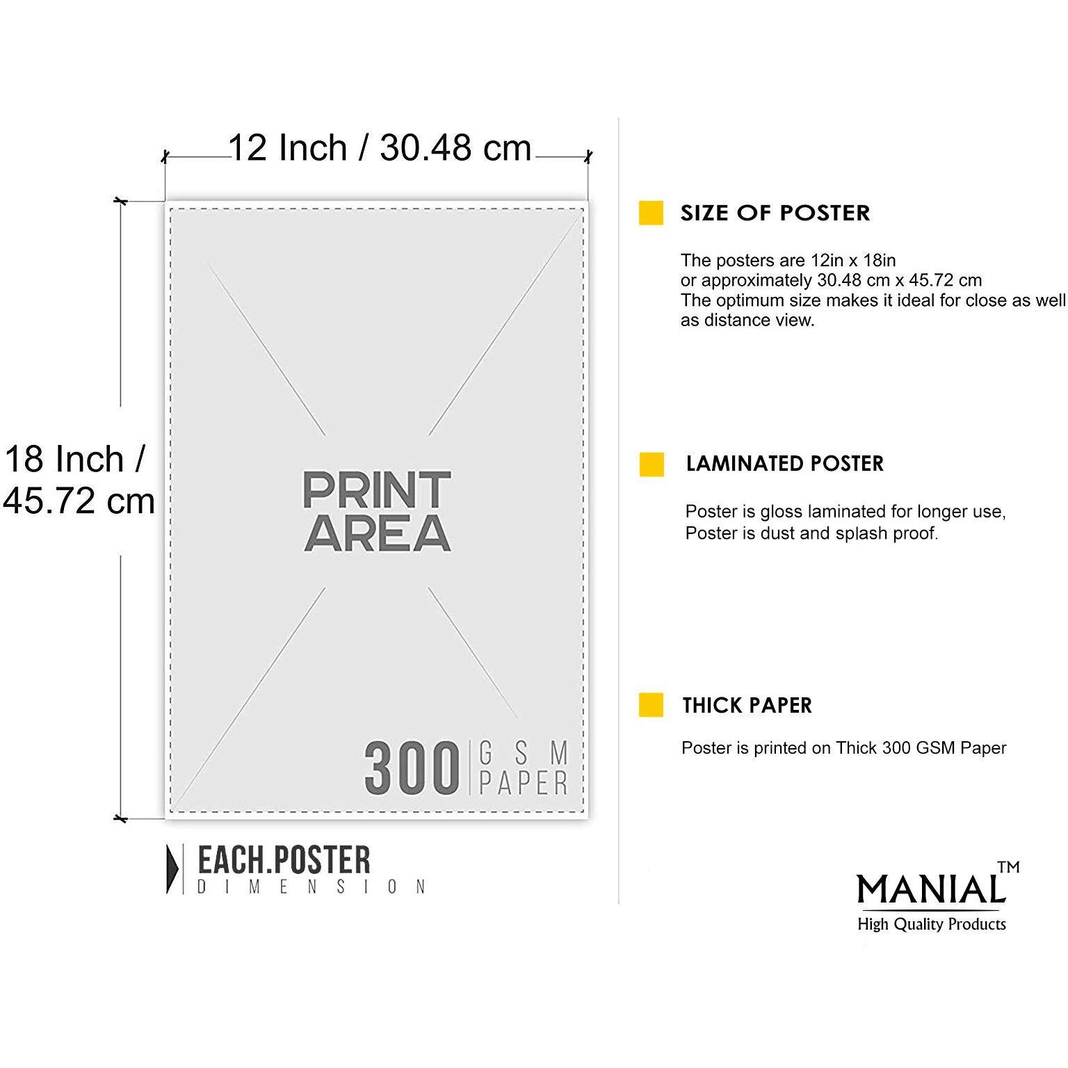 Manial Follow This Quotes Poster | Motivational Poster | Poster For Office & Room | Hd Wall Posters (12X18-Inches, 300Gsm Thick Paper, Gloss Laminated, Multicolour)