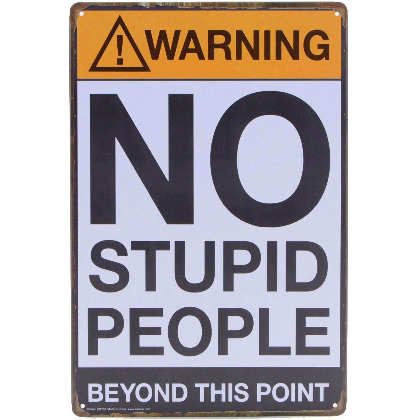 Store2508 Vintage Metal Tin Sign Poster  Warning No Stupid People Beyond This Point 30X20 Cm
