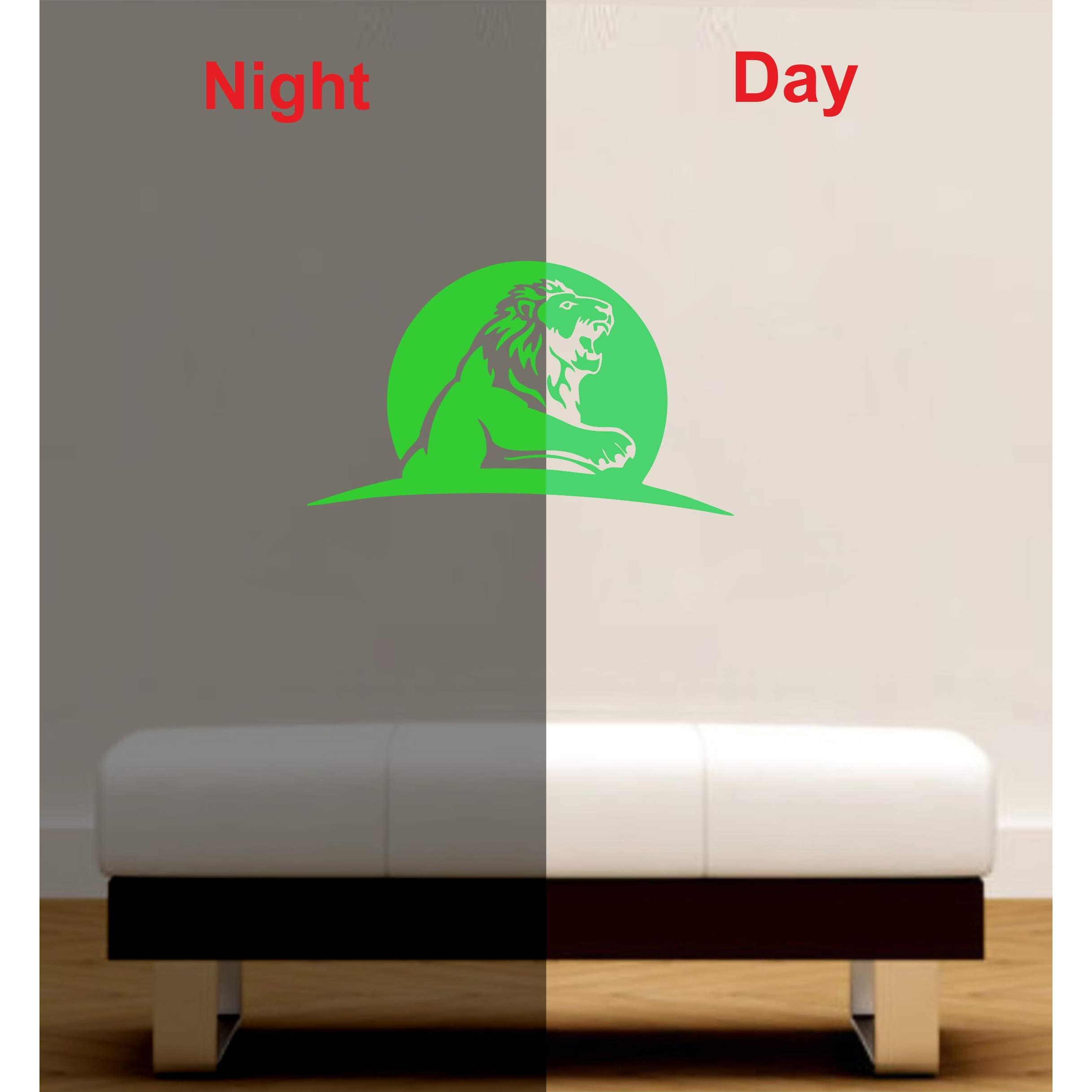 Dreamkraft Glow In The Dark Kids Room Decor Radium Sticker (Green, 30X19 Cm)