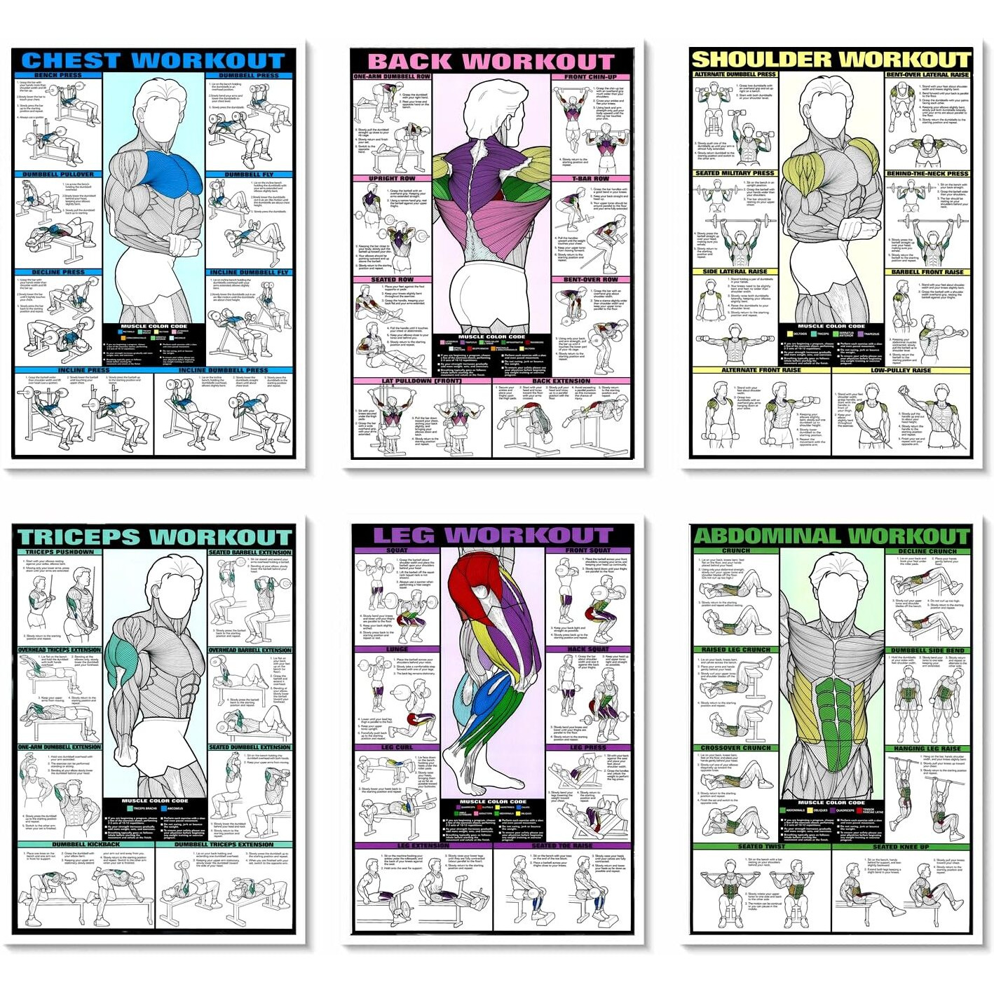 Pixelartz Paper Wall Poster Motivational Workout And Exercises Illustrations Bodybuilding Gym Posters Hd Quality Posters For Home,Office,Room Wall Multicolor 12X18" (Pack Of 6 Posters) (02,Large)