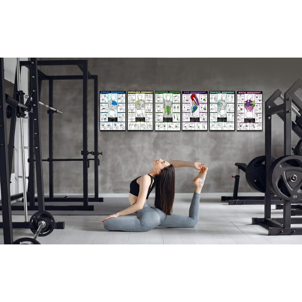Pixelartz Paper Wall Poster Motivational Workout And Exercises Illustrations Bodybuilding Gym Posters Hd Quality Posters For Home,Office,Room Wall Multicolor 12X18" (Pack Of 6 Posters) (02,Large)