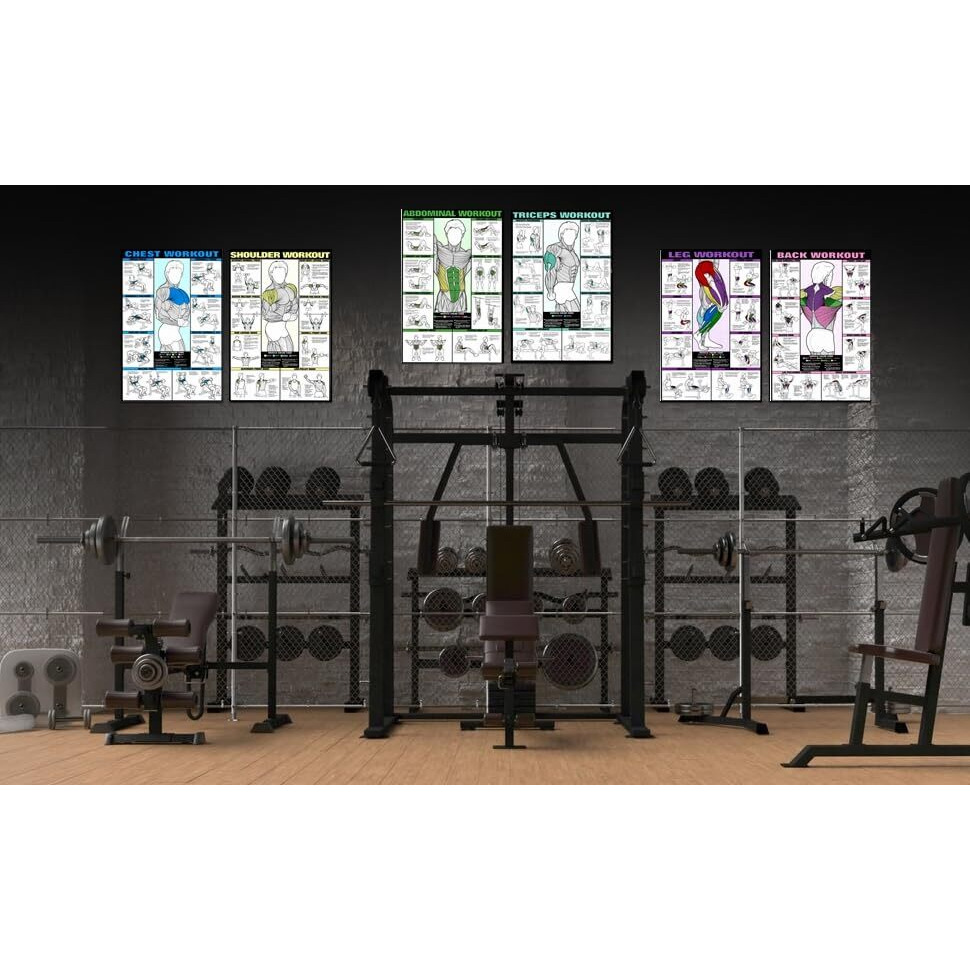 Pixelartz Paper Wall Poster Motivational Workout And Exercises Illustrations Bodybuilding Gym Posters Hd Quality Posters For Home,Office,Room Wall Multicolor 12X18" (Pack Of 6 Posters) (02,Large)