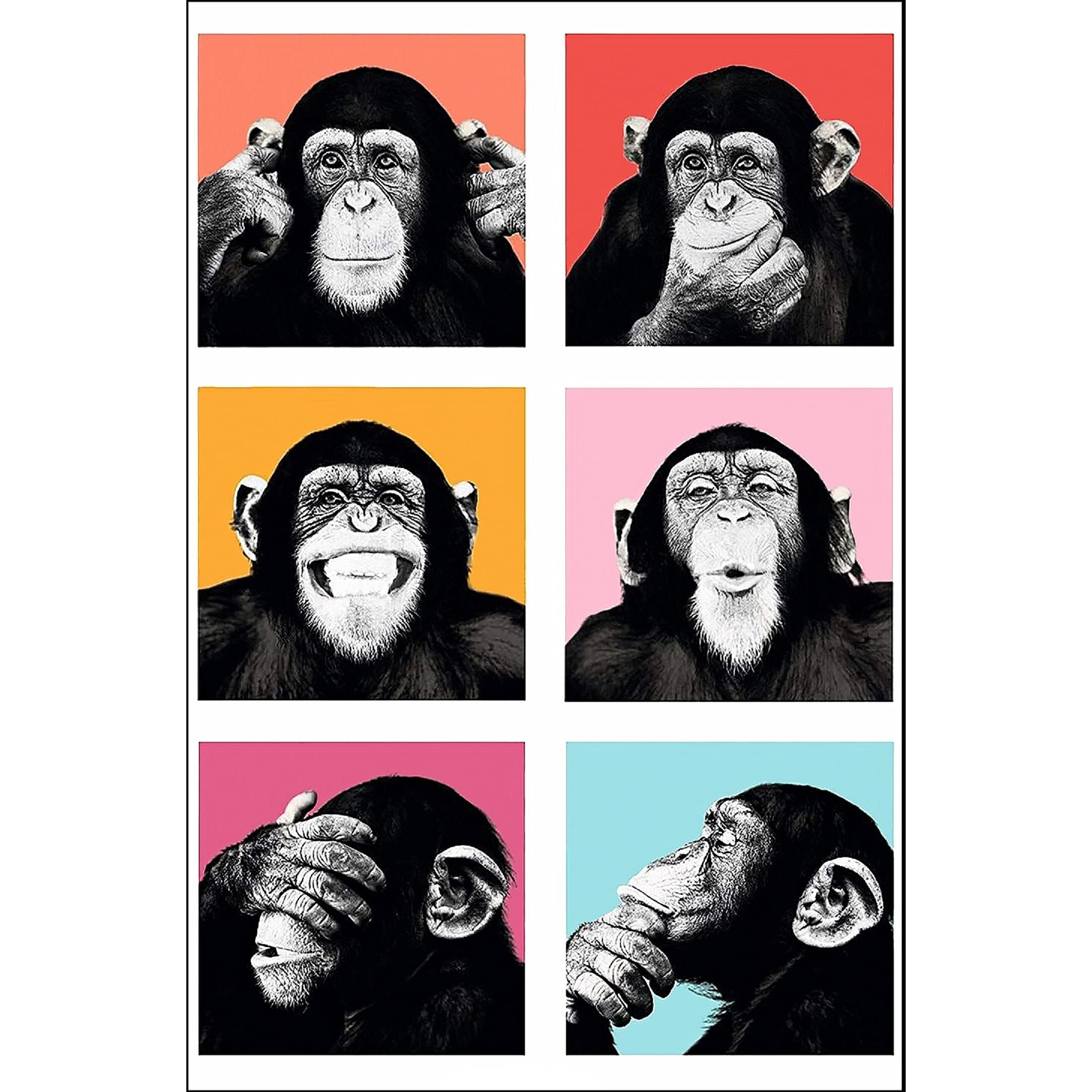 Printnet Chimps Funny Poster For Wall Decor (Laminated, 12X18 Inch, Multicolour)