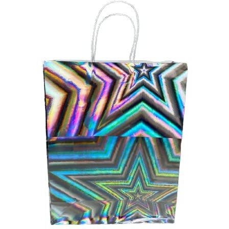 Bless Kraft 3D Fine Paper Gift Bags Paper Bags With Handles Shopping Bags Retail Bags Paper Gift Bags For Girls 16X14X5 Cm, 1 Count,Silver