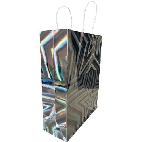 Bless Kraft 3D Fine Paper Gift Bags Paper Bags With Handles Shopping Bags Retail Bags Paper Gift Bags For Girls 16X14X5 Cm, 1 Count,Silver