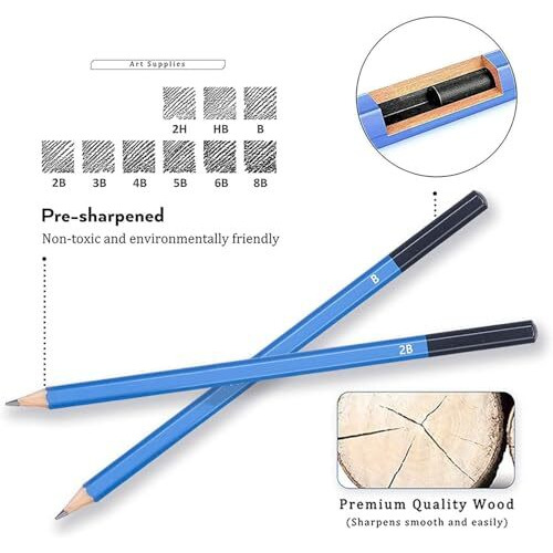 Corslet 29 Pcs Drawing Pencil Set For Artists Sketching Kit Art Tool With Graphite Charcoal Pencils, Paper Erasable Pen, Craft Knife Lightwish (With Canvas Rolling Pouch)