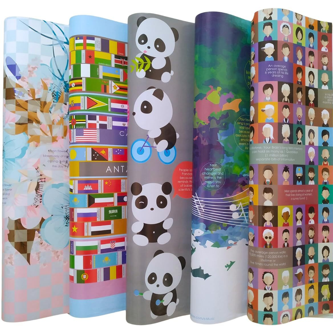 Evince - Thoughtful Presentations 10 Gift Wrapping Paper Variety | All Occasions | Birthday Baby Shower Anniversary Diwali Christmas New Year Gifts