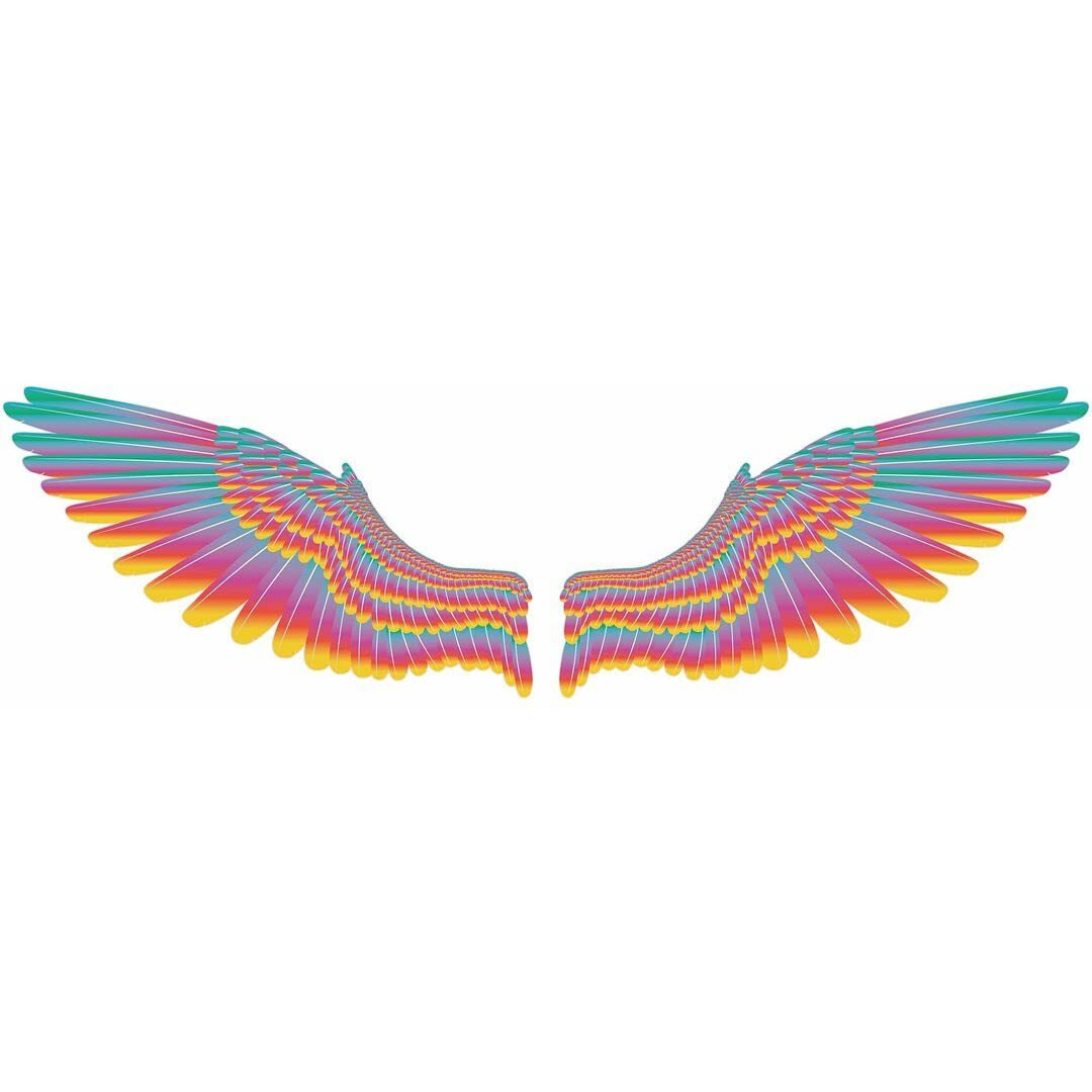 Cvanu Multi Colour Wings Wall Sticker For Wall Surface Decoration Size (14Inchx 48Inch) Cv5