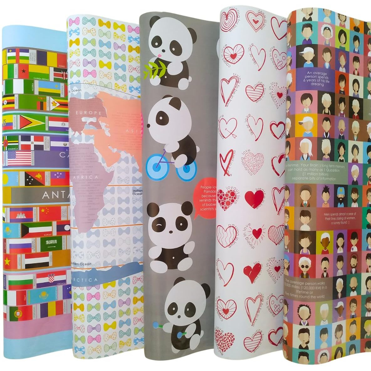 Evince - Thoughtful Presentations 10 Assorted Gift Wrapping Paper | All Occasions | Birthday Baby Shower Anniversary Diwali Christmas Halloween Gifts