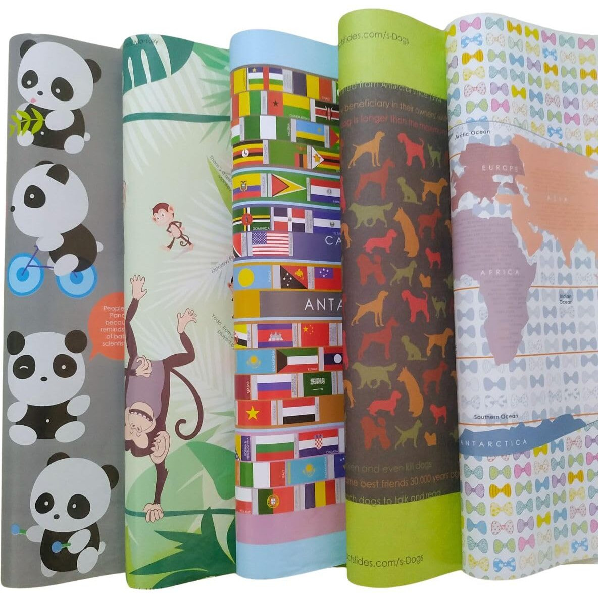 Evince - Thoughtful Presentations Assorted 10 Gift Wrapping Paper | For All Type Of Gifts | Birthday Baby Shower Anniversary Diwali Christmas New Year