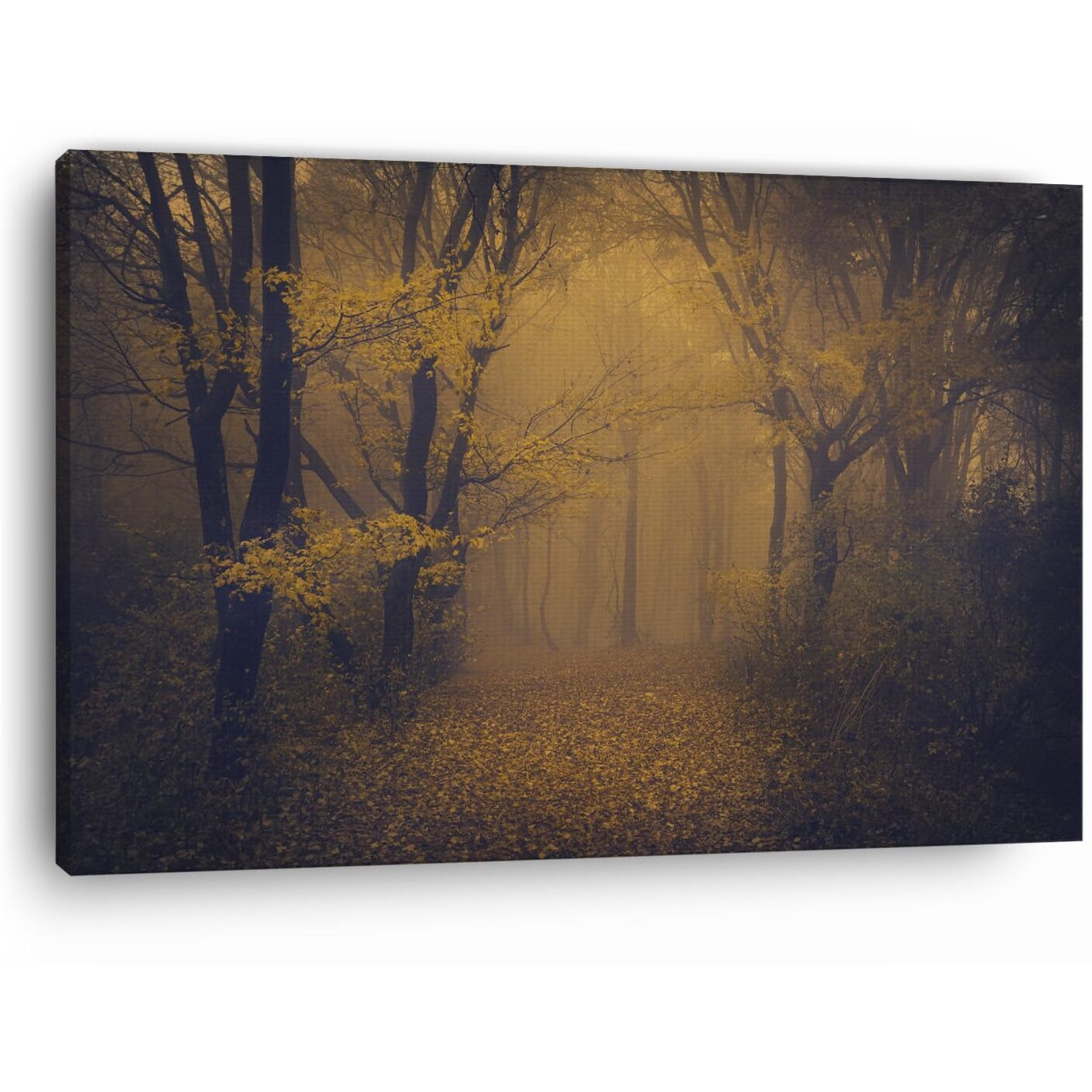 Truecanvas Dark Autumn Forest Wall Mural Brown, Wooden Framed Canvas Paintings For Home Decor | Bedroom, Living Room,Wall Decoration | Wall Art Painting, Ct0826, Size 16 X 24 In