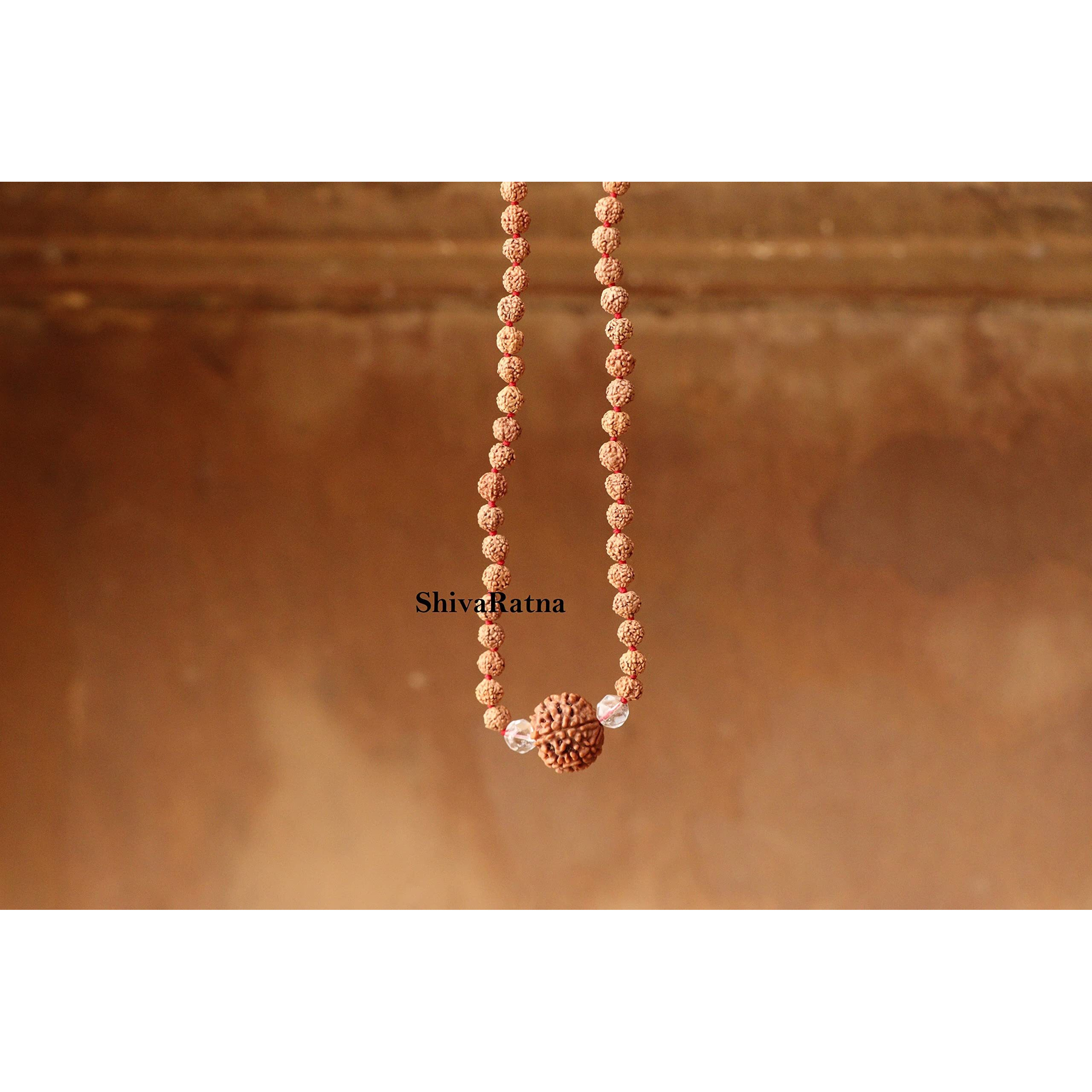 3 Mukhi Guru Mani + 2 Beads Of Sphatik Mani Made In 5 Mukhi Rudraksha Mala Total Numbers Of Beads 108+1