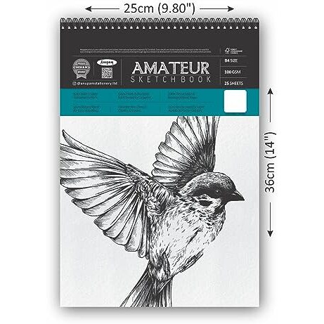 Anupam Amateur Sketch Book B4 | 25 Sheets 50 Pages | 100Gsm | Durable Acid Free Drawing Book | Top Spiral-Bound Sketchbook For Artists & Kids For Marker Colored Pencil Charcoal Pastels (Set Of 2)