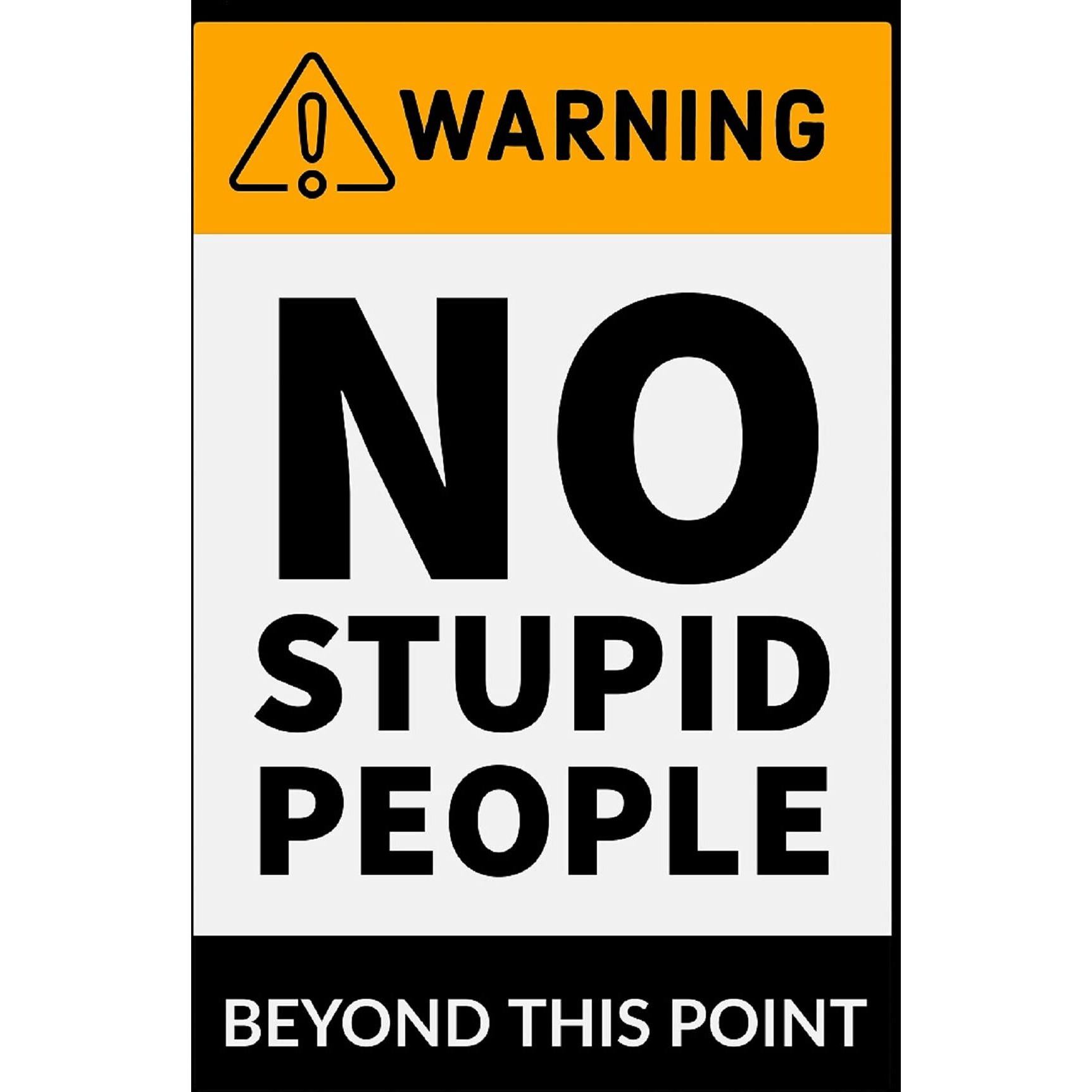 Printnet 300Gsm Thick Paper, Gloss Laminated, Warning - No Stupid People Funny Hd Poster For Wall Decor (12X18-Inch, Multicolour)