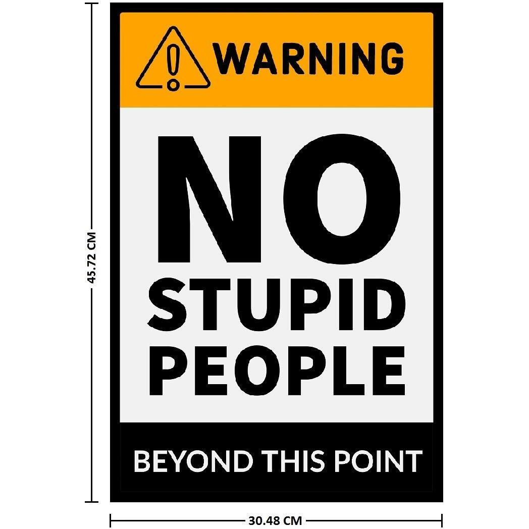 Printnet 300Gsm Thick Paper, Gloss Laminated, Warning - No Stupid People Funny Hd Poster For Wall Decor (12X18-Inch, Multicolour)