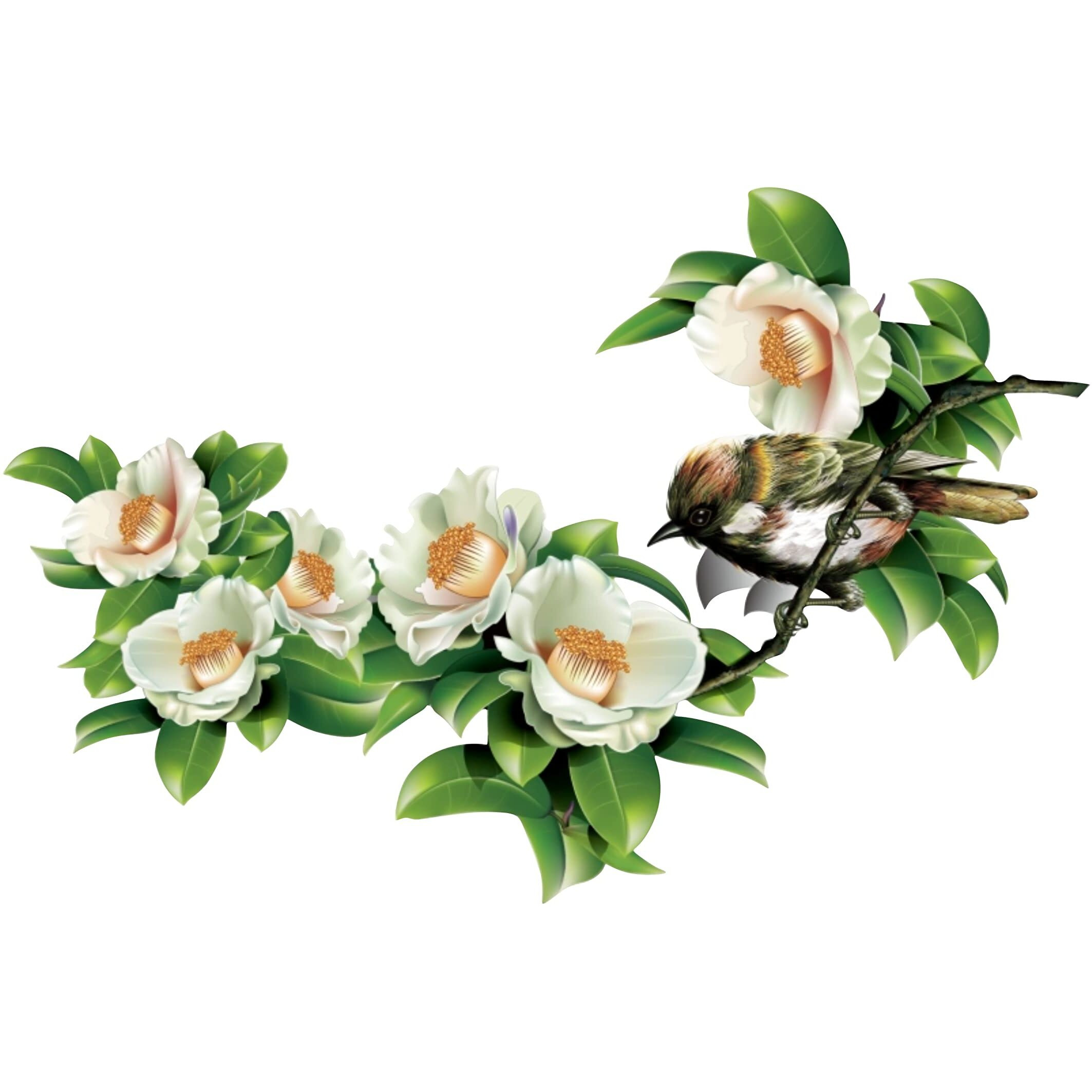 Dreamkraft Beautiful White Flower With Birds Wall Sticker For Home Decor, Drawing Room (Multicolor, Pvc Vinyl 79 X 48Cm)