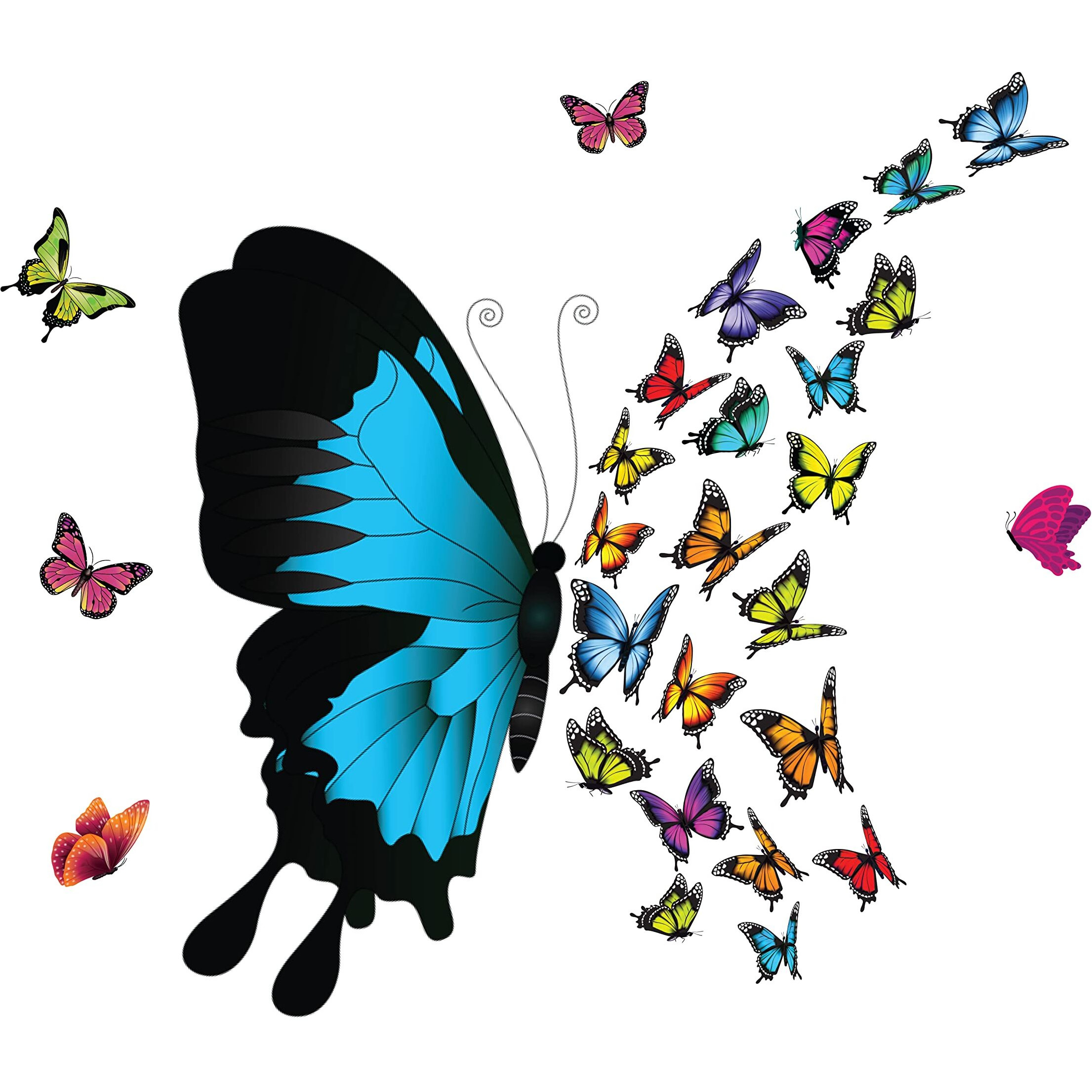 Dreamkraft Dynamite Colorful Butterflies Decorative Design Vinyl Self Adhesive Peel And Home Decor (Multicolor, 56 Cm X 82 Cm)