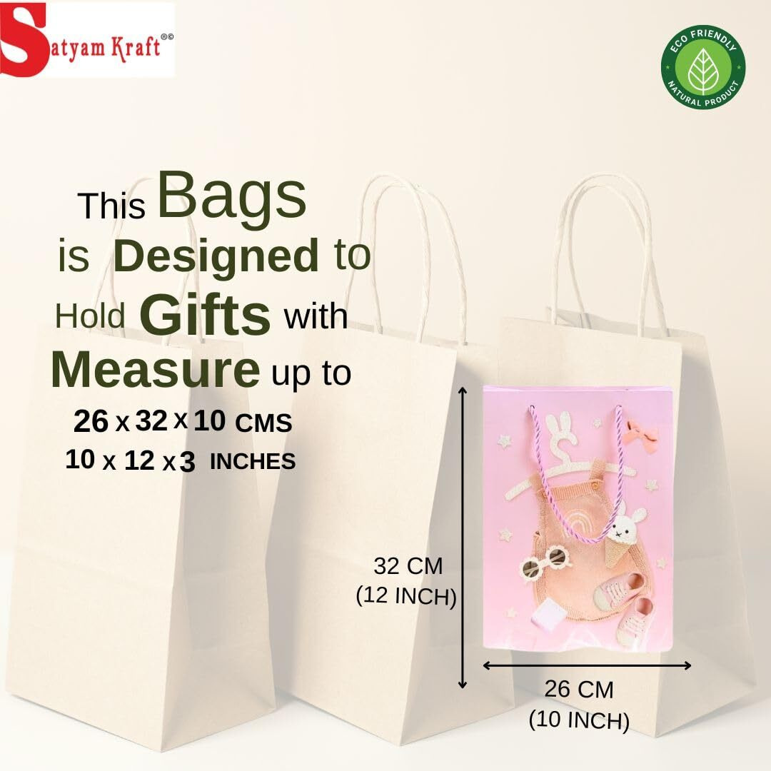 Satyam Kraft 6 Pcs Style Gift Bags With Handle Gift Paper Bag,Carry Bags,Shopping Gift Bag, Gift For Birthday Gifting, Marriage Return Gifts, Valentine Gift, Wedding, Engagement, Party, Presents, Season's Greetings (Big)(Pack Of 6) (Design 2)