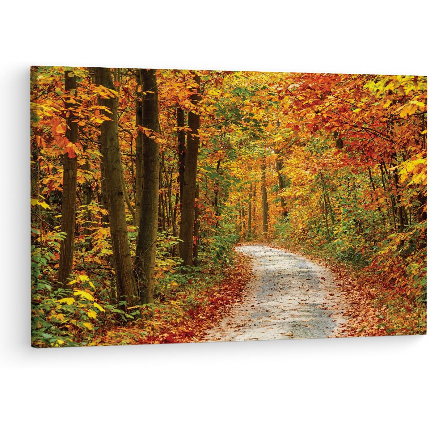 Truecanvas Papermoon Fototapete Pathway, Wooden Framed Canvas Paintings For Living Room | Bedroom | Office | Gallery | Ready Wall Mount Canvas Wall Art Painting | Size - 12 X 18In, Ct0803