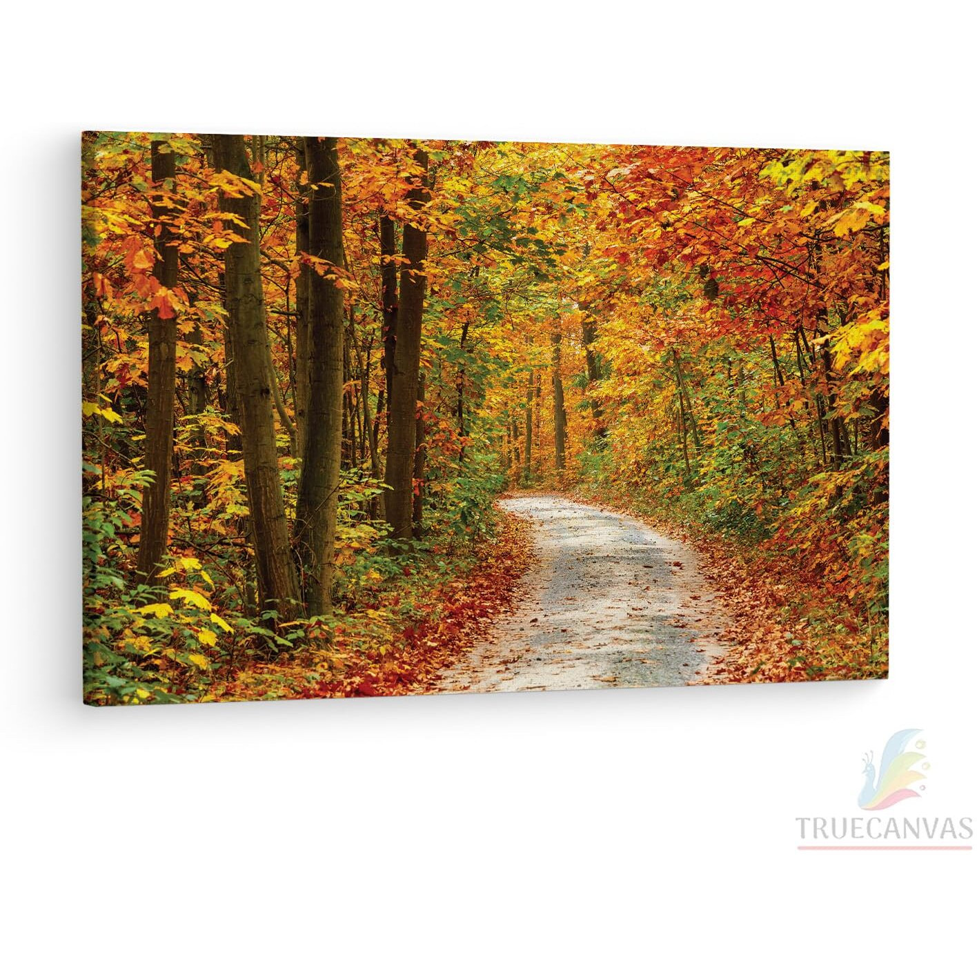 Truecanvas Papermoon Fototapete Pathway, Wooden Framed Canvas Paintings For Living Room | Bedroom | Office | Gallery | Ready Wall Mount Canvas Wall Art Painting | Size - 12 X 18In, Ct0803