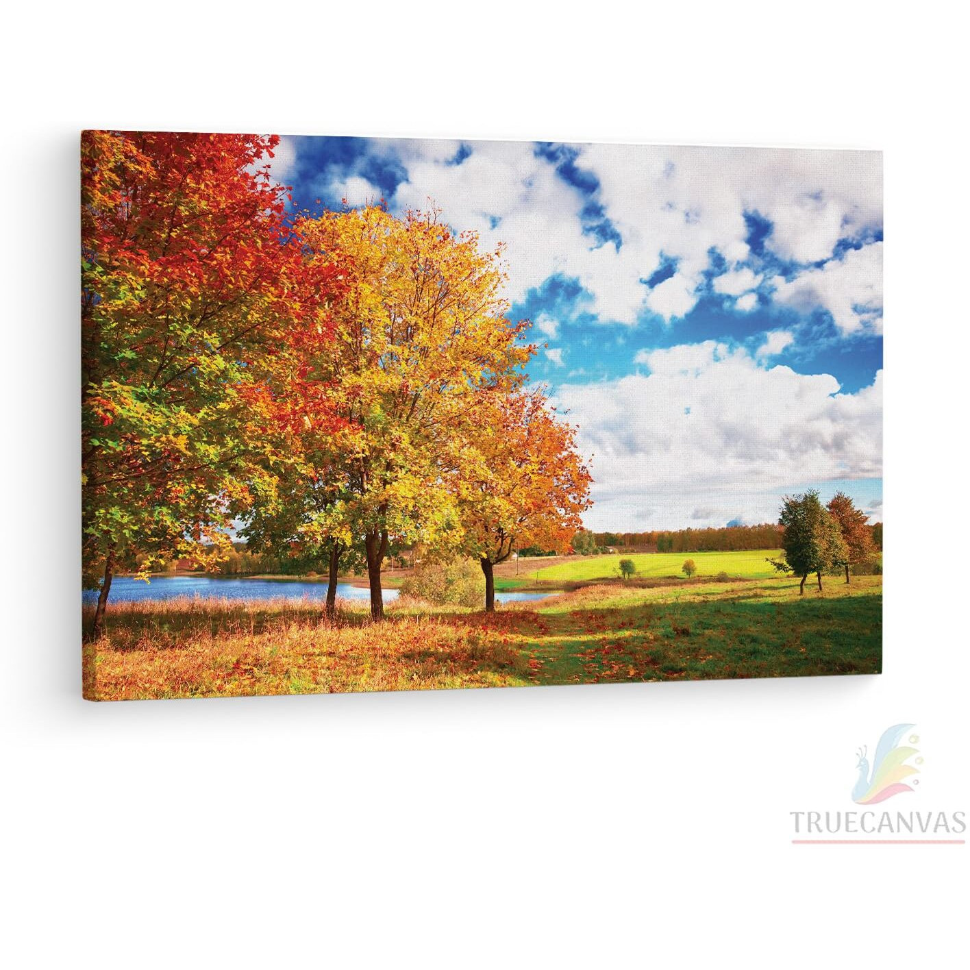 Truecanvas Autumn Landscape, Wooden Framed Canvas Paintings For Living Room | Bedroom | Office | Gallery | Ready Wall Mount Canvas Wall Art Painting | Size - 12 X 18In, Ct0839