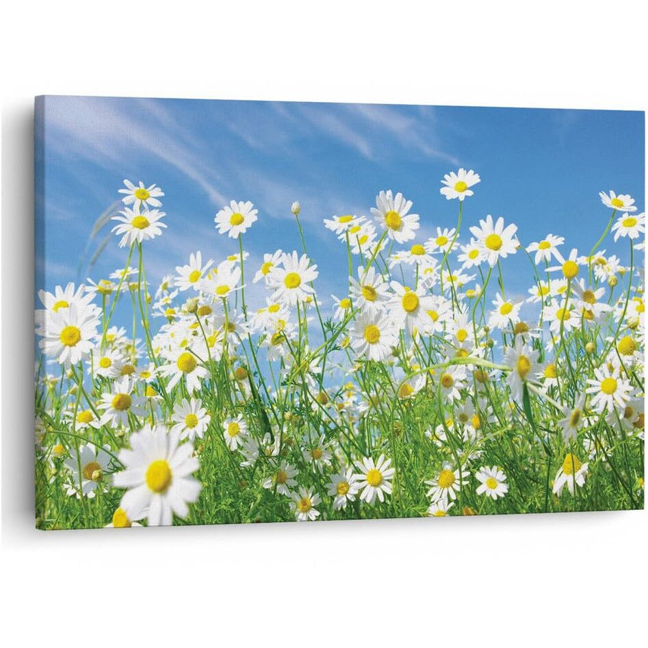 Truecanvas 16 X 24 Inch, Pine Wood Framed Canvas Paintings For Home Decor, Ready To Wall Hanging, Premium Painting For | Bedroom, Living Room, Office Wall Decoration | Wall Art Painting, Ct2007