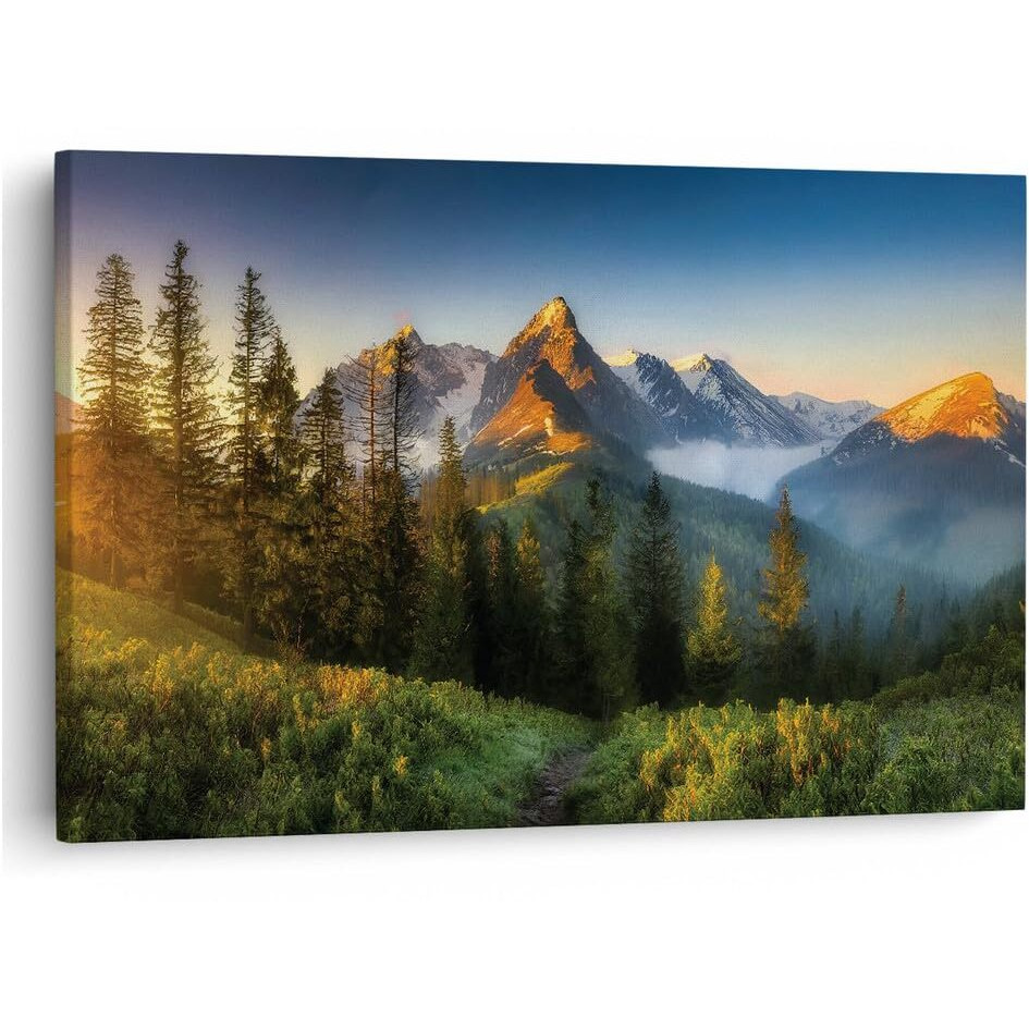 Truecanvas 16 X 24 Inch, Pine Wood Framed Canvas Paintings For Home Decor, Ready To Wall Hanging, Premium Painting For | Bedroom, Living Room, Office Wall Decoration | Wall Art Painting, Ct3261